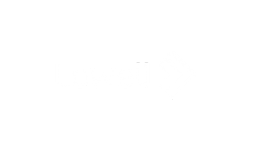 Lowells